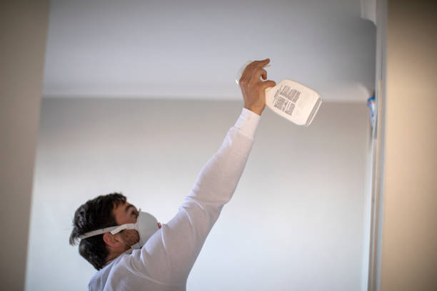 Best Black Mold Remediation in Gibson City, IL