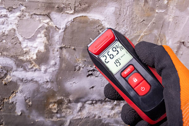Trusted Gibson City, IL Mold Remediation Experts