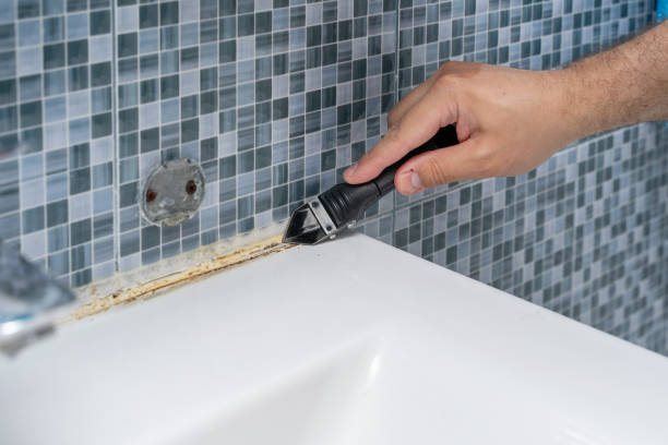 Best Insurance-Related Mold Remediation in Gibson City, IL
